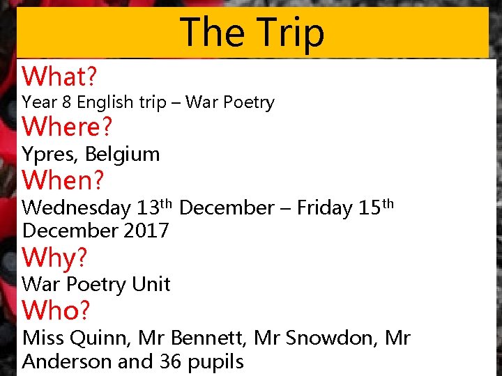 The Trip What? Year 8 English trip – War Poetry Where? Ypres, Belgium When?