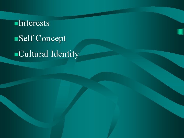 Interests n Self Concept n Cultural Identity n 