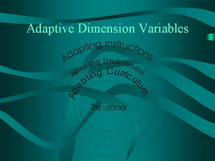 Adaptive Dimension Variables 