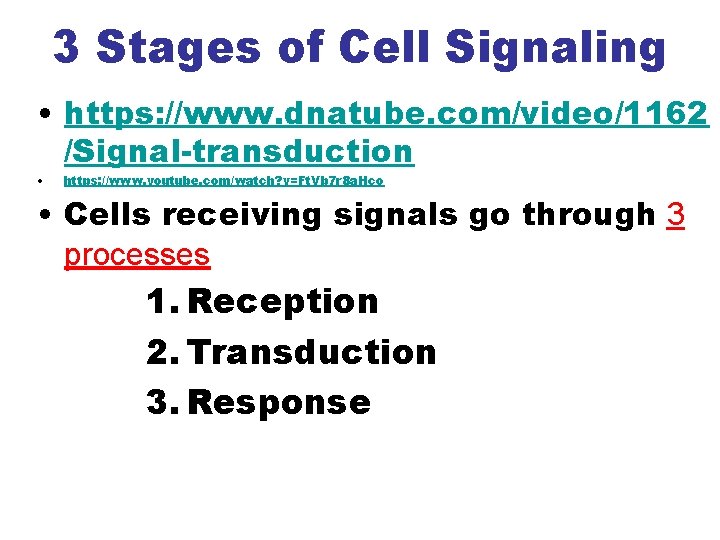 3 Stages of Cell Signaling • https: //www. dnatube. com/video/1162 /Signal-transduction • https: //www.