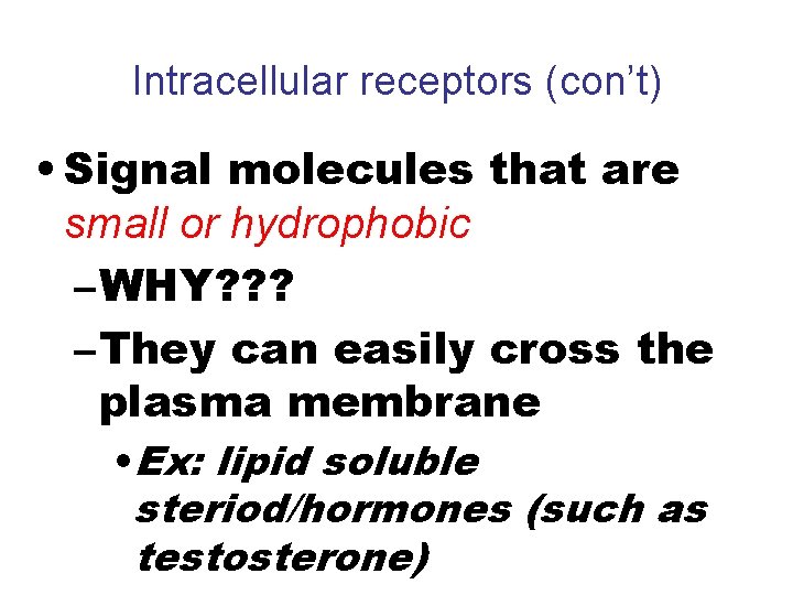 Intracellular receptors (con’t) • Signal molecules that are small or hydrophobic – WHY? ?