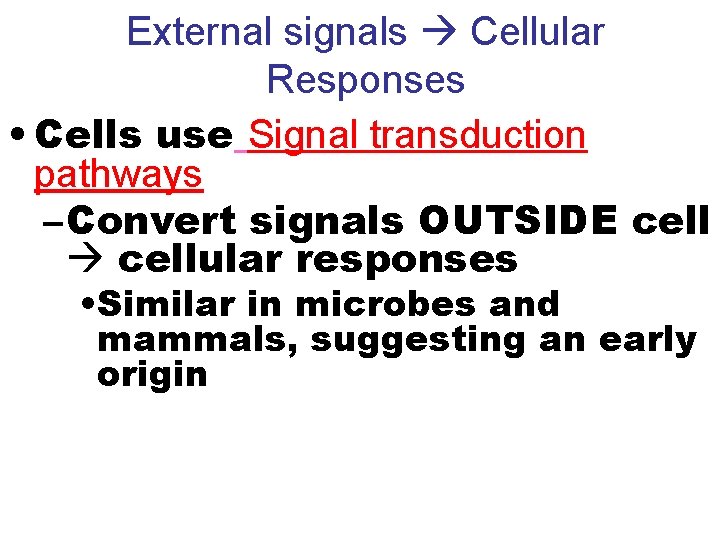 External signals Cellular Responses • Cells use Signal transduction pathways – Convert signals OUTSIDE