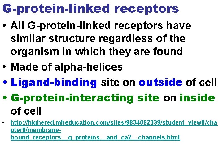 G-protein-linked receptors • All G-protein-linked receptors have similar structure regardless of the organism in