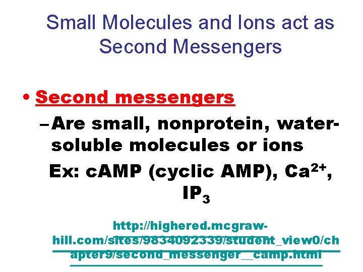 Small Molecules and Ions act as Second Messengers • Second messengers – Are small,