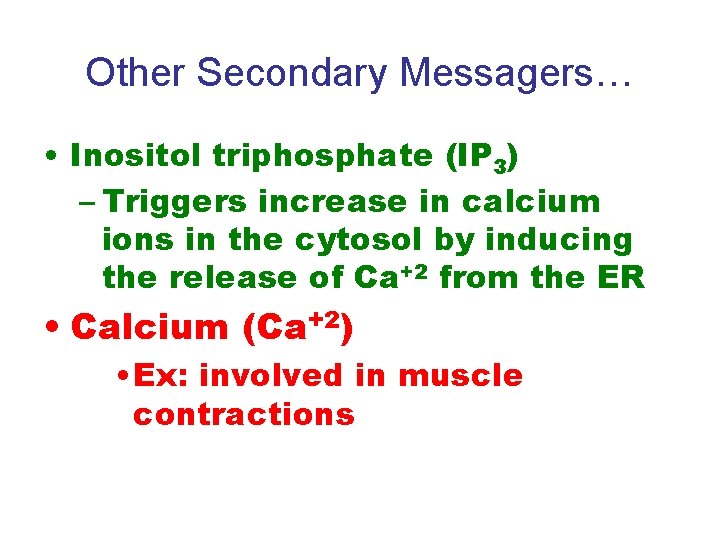 Other Secondary Messagers… • Inositol triphosphate (IP 3) – Triggers increase in calcium ions
