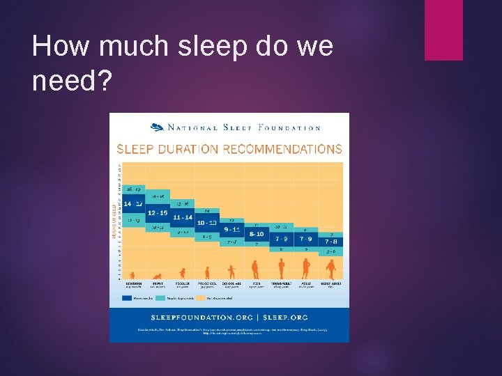 How much sleep do we need? 