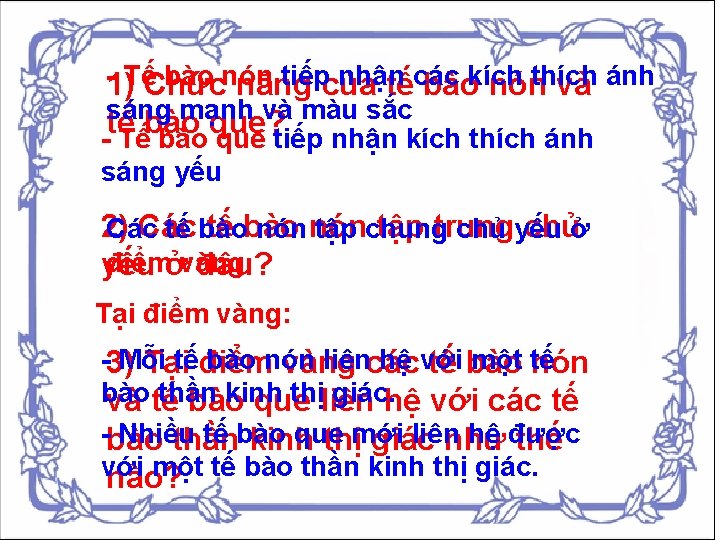 -1)TếChức bào nón tiếpcủa nhận thích năng tếcác bàokích nón và ánh sáng mạnh