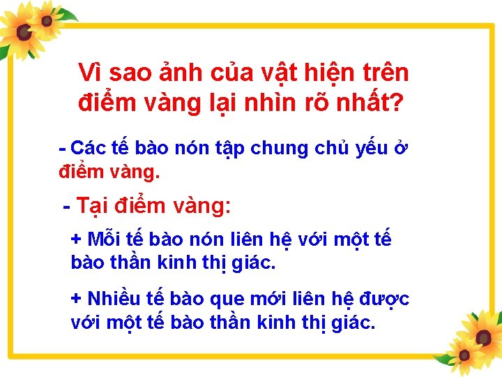 Vì sao ảnh của vật hiện trên điểm vàng lại nhìn rõ nhất? -