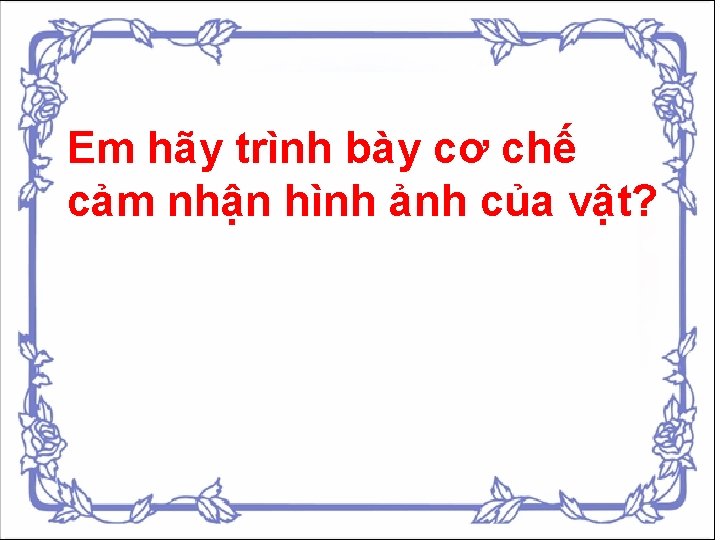 Em hãy trình bày cơ chế cảm nhận hình ảnh của vật? 