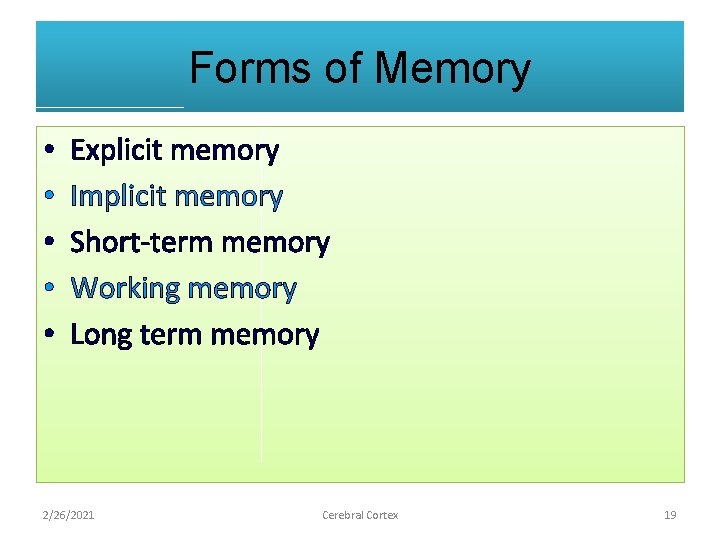 Forms of Memory • • • Explicit memory Implicit memory Short-term memory Working memory