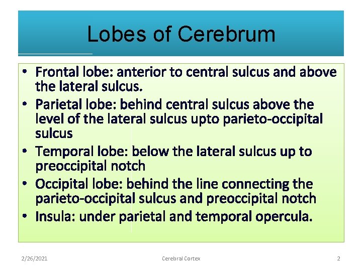 Lobes of Cerebrum • Frontal lobe: anterior to central sulcus and above the lateral