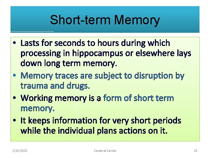 Short-term Memory • Lasts for seconds to hours during which processing in hippocampus or