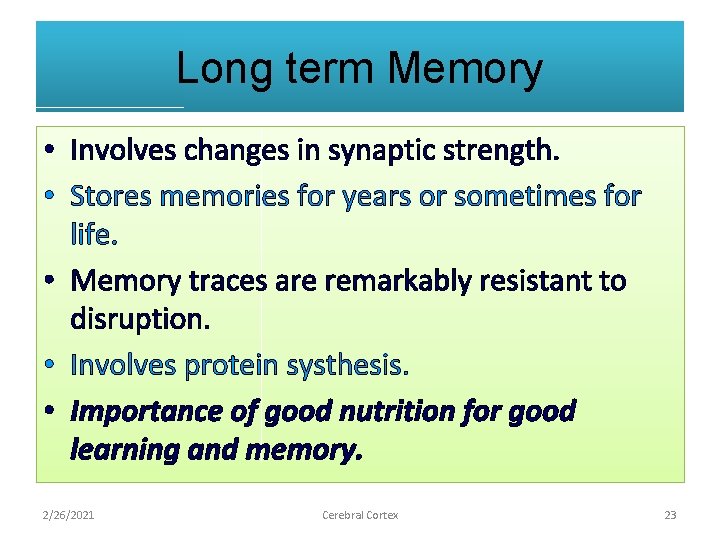 Long term Memory • Involves changes in synaptic strength. • Stores memories for years