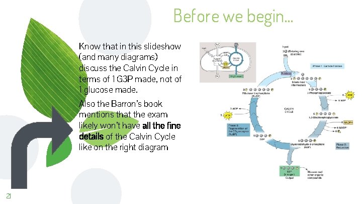 Before we begin. . . Know that in this slideshow (and many diagrams) discuss
