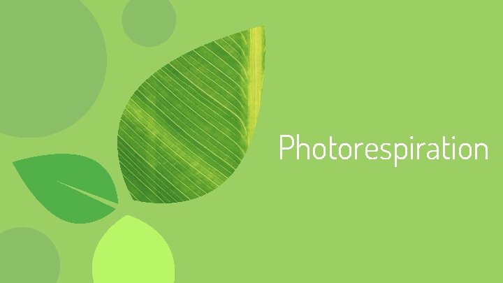 Photorespiration 