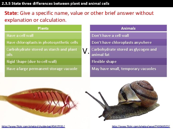 2. 3. 5 State three differences between plant and animal cells State: Give a