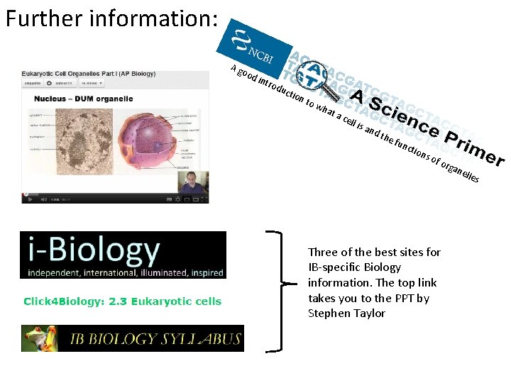 Further information: Ag ood intr odu ctio n to wh at a cell i