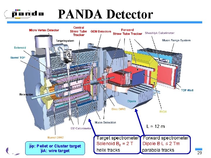 PANDA Detector _ pp: Pellet _ or Cluster target p. A: wire target 29