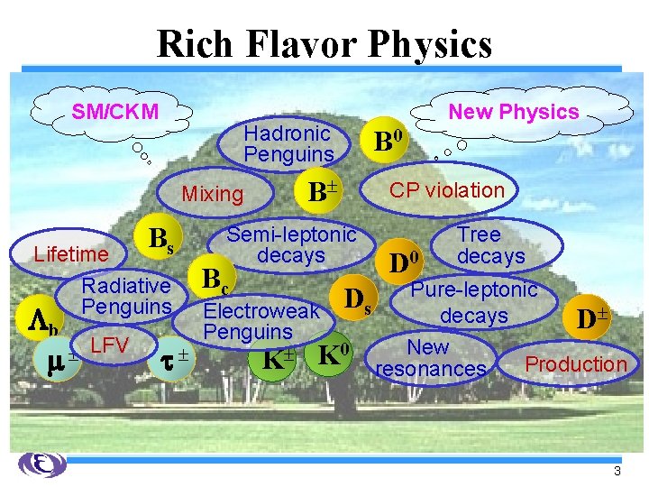 Rich Flavor Physics SM/CKM Hadronic Penguins Bs Lifetime Radiative Penguins LFV B 0 B