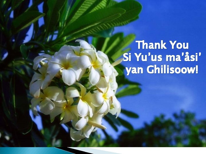 Thank You Si Yu’us ma’åsi’ yan Ghilisoow! 