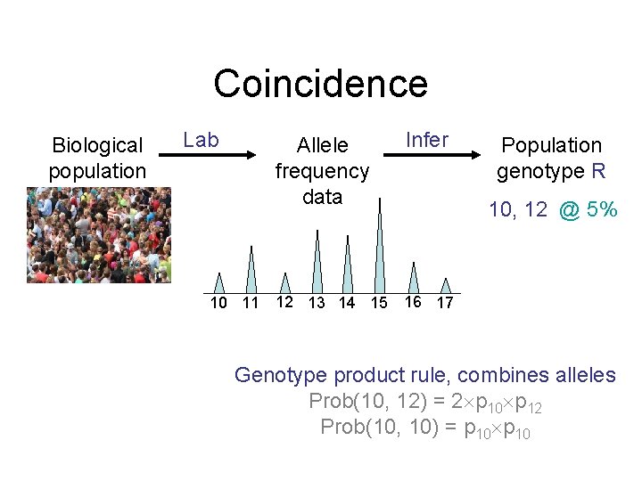 Coincidence Biological population Lab 10 11 Allele frequency data Infer 12 13 14 15