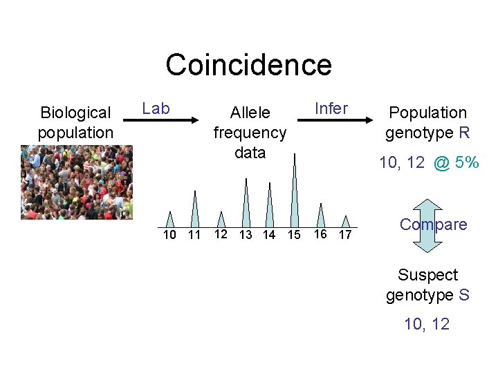 Coincidence Biological population Lab 10 11 Allele frequency data Infer 12 13 14 15