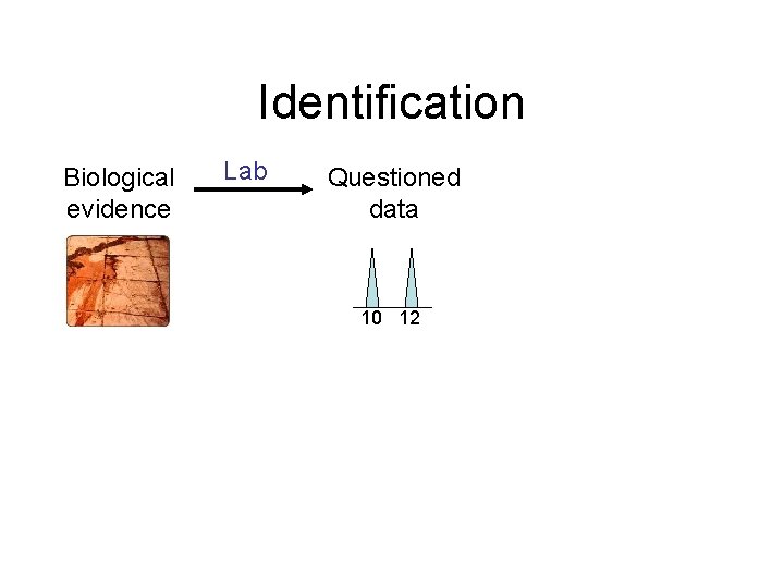 Identification Biological evidence Lab Questioned data 10 12 