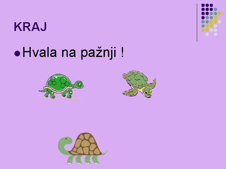 KRAJ l Hvala na pažnji ! 