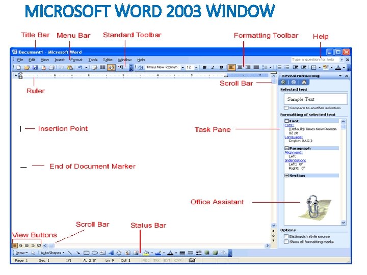 MICROSOFT WORD 2003 WINDOW 