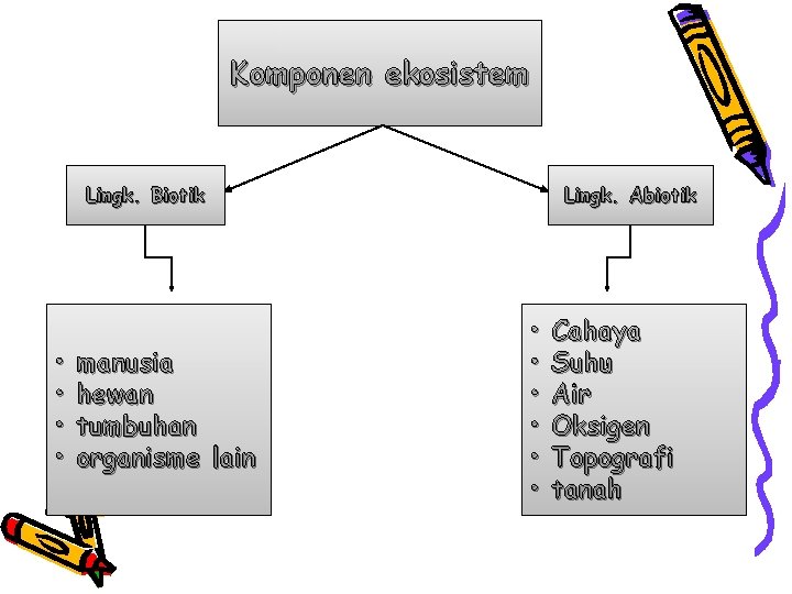 Komponen ekosistem Lingk. Biotik • • manusia hewan tumbuhan organisme lain Lingk. Abiotik •