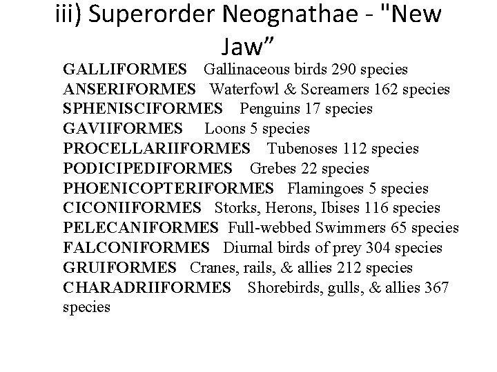 iii) Superorder Neognathae - "New Jaw” GALLIFORMES Gallinaceous birds 290 species ANSERIFORMES Waterfowl &