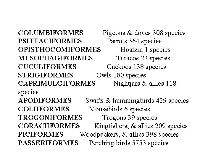 COLUMBIFORMES Pigeons & doves 308 species PSITTACIFORMES Parrots 364 species OPISTHOCOMIFORMES Hoatzin 1 species