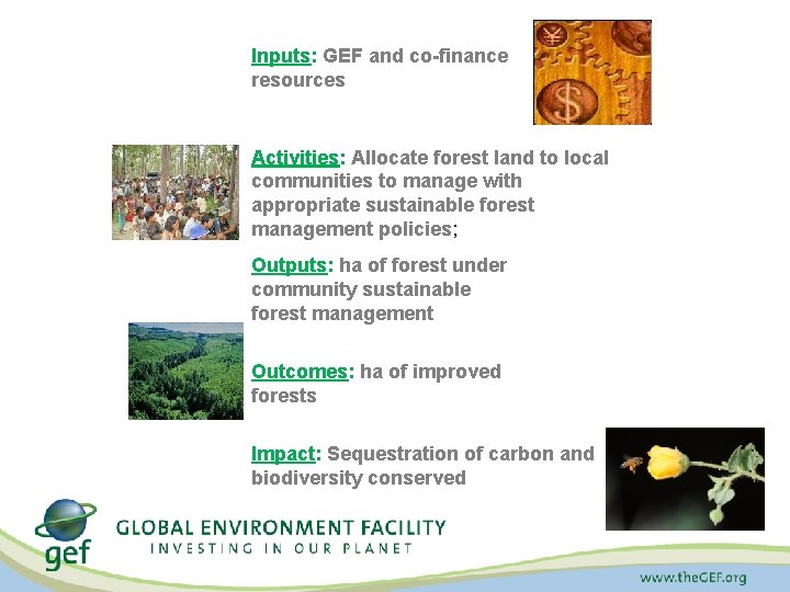 Inputs: GEF and co-finance resources Activities: Allocate forest land to local communities to manage