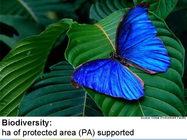 Biodiversity: ha of protected area (PA) supported Source: Global Environment Facility 