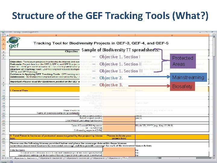 Structure of the GEF Tracking Tools (What? ) Sample of Biodiversity TT spreadsheets: –