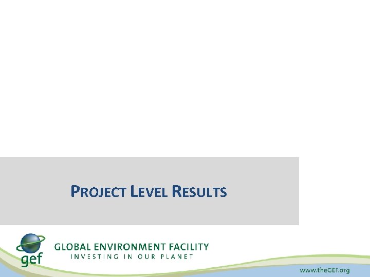 PROJECT LEVEL RESULTS 