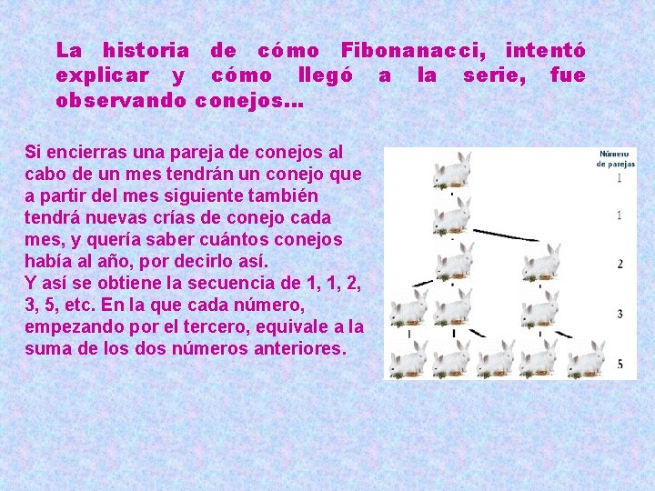 La historia de cómo Fibonanacci, intentó explicar y cómo llegó a la serie, fue