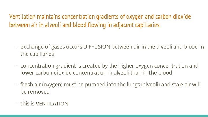 Ventilation maintains concentration gradients of oxygen and carbon dioxide between air in alveoli and