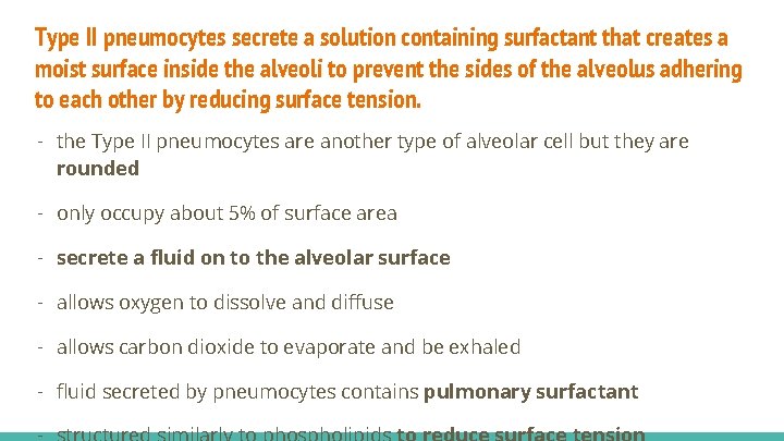 Type II pneumocytes secrete a solution containing surfactant that creates a moist surface inside