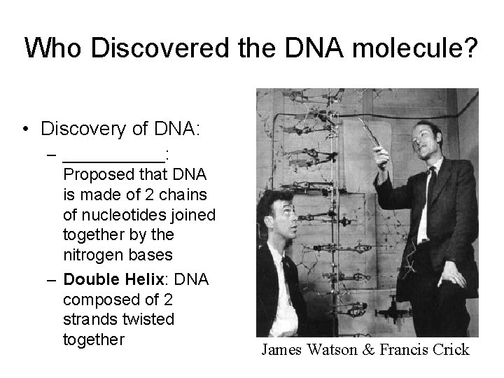 Who Discovered the DNA molecule? • Discovery of DNA: – ______: Proposed that DNA