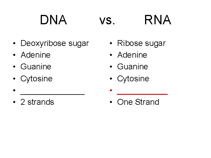 DNA vs. RNA • • • Deoxyribose sugar Adenine Guanine Cytosine _______ 2 strands