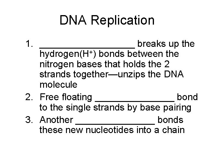 DNA Replication 1. _________ breaks up the hydrogen(H+) bonds between the nitrogen bases that