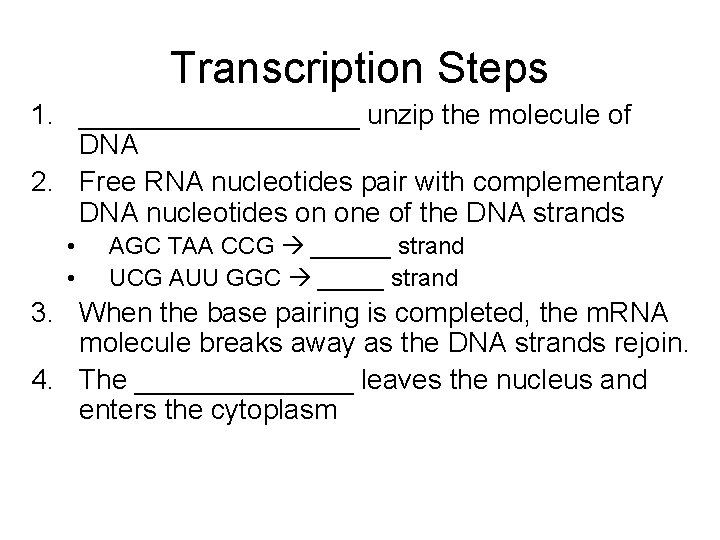 Transcription Steps 1. _________ unzip the molecule of DNA 2. Free RNA nucleotides pair