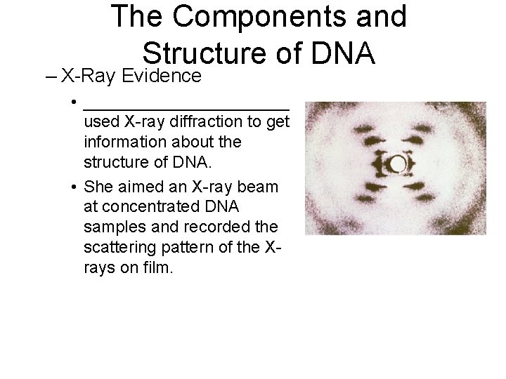 The Components and Structure of DNA – X-Ray Evidence • ___________ used X-ray diffraction