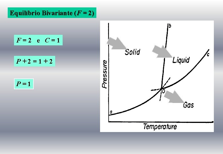 Equilíbrio Bivariante (F = 2) F=2 e C=1 P+2=1+2 P=1 