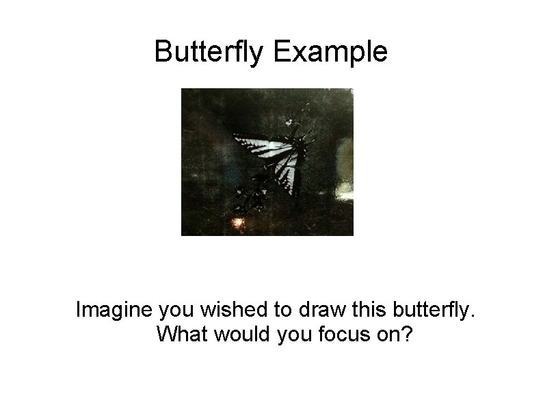 Butterfly Example Imagine you wished to draw this butterfly. What would you focus on?