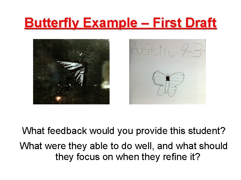 Butterfly Example – First Draft What feedback would you provide this student? What were