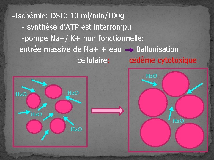 -Ischémie: DSC: 10 ml/min/100 g - synthèse d’ATP est interrompu -pompe Na+/ K+ non -Ischémie: DSC: 10 ml/min/100 g - synthèse d’ATP est interrompu -pompe Na+/ K+ non