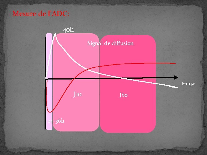 Mesure de l’ADC: 40 h Signal de diffusion temps J 10 24 -36 h