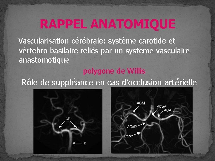 RAPPEL ANATOMIQUE Vascularisation cérébrale: système carotide et vértebro basilaire reliés par un système vasculaire